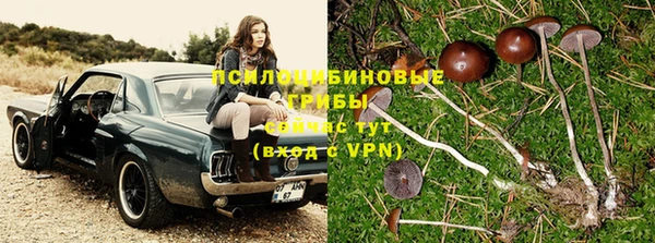 дурь Алексин