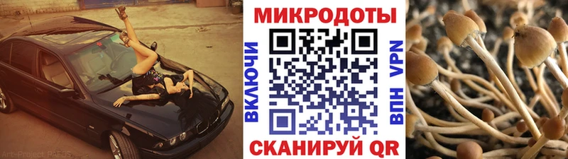 как найти   Энгельс  Галлюциногенные грибы прущие грибы 